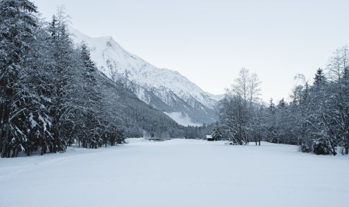 cross-country skiing